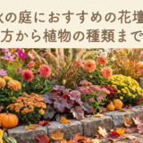 秋の庭におすすめの花壇。選び方から植物の種類まで解説
