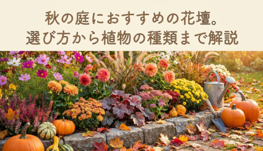 秋の庭におすすめの花壇。選び方から植物の種類まで解説