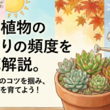 多肉植物の水やりの頻度を徹底解説。季節ごとのコツを掴み、元気な株を育てよう!