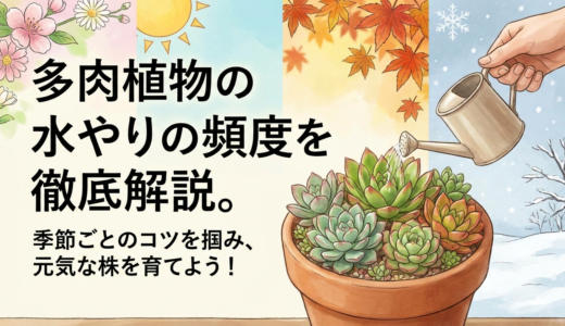 多肉植物の水やりの頻度を徹底解説。季節ごとのコツを掴み、元気な株を育てよう！