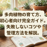 多肉植物の育て方、初心者向け完全ガイド。失敗しないコツや管理方法を解説。