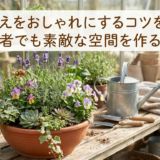 寄せ植えをおしゃれにするコツを解説。初心者でも素敵な空間を作る方法