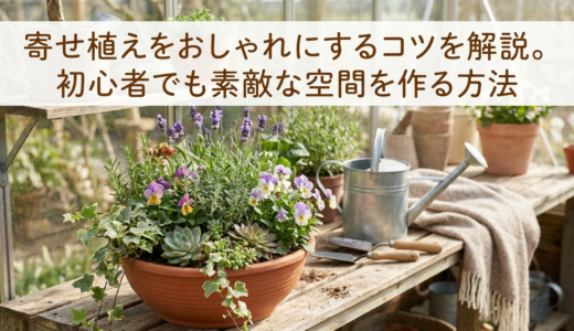 寄せ植えをおしゃれにするコツを解説。初心者でも素敵な空間を作る方法
