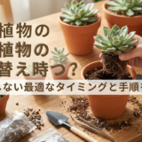 多肉植物の植え替え時期はいつ？失敗しない最適なタイミングと手順を解説