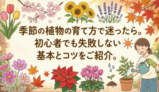 季節の植物の育て方で迷ったら。初心者でも失敗しない基本とコツをご紹介。