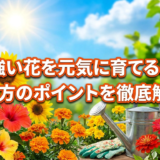 夏の強い花を元気に育てるには?育て方のポイントを徹底解説。