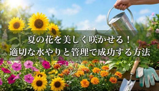 夏の花を美しく咲かせる！適切な水やりと管理で成功する方法