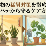 観葉植物の猛暑対策を徹底解説。夏バテから守るケア方法