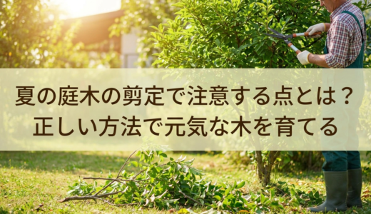 夏の庭木の剪定で注意する点とは？正しい方法で元気な木を育てる