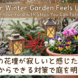 冬の花壇が寂しいと感じたら。今日からできる対策で庭を明るく。