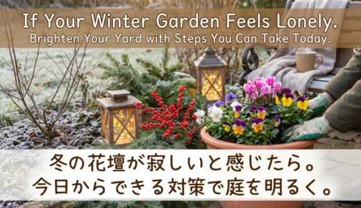 冬の花壇が寂しいと感じたら。今日からできる対策で庭を明るく。