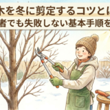 庭木を冬に剪定するコツとは?初心者でも失敗しない基本手順を解説