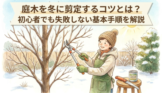 庭木を冬に剪定するコツとは？初心者でも失敗しない基本手順を解説