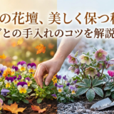 秋冬の花壇、美しく保つ秘訣。季節ごとの手入れのコツを解説します