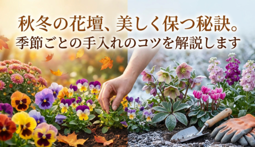 秋冬の花壇、美しく保つ秘訣。季節ごとの手入れのコツを解説します
