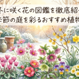 秋冬に咲く花の図鑑を徹底紹介！寒い季節の庭を彩るおすすめ植物12選