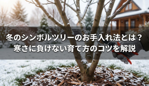 冬のシンボルツリーのお手入れ法とは？寒さに負けない育て方のコツを解説