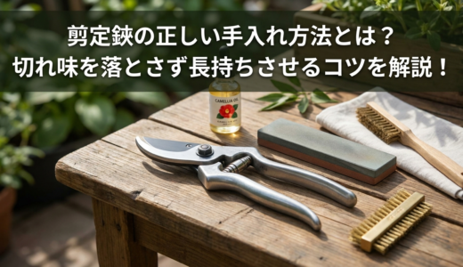 剪定鋏の正しい手入れ方法とは？切れ味を落とさず長持ちさせるコツを解説！